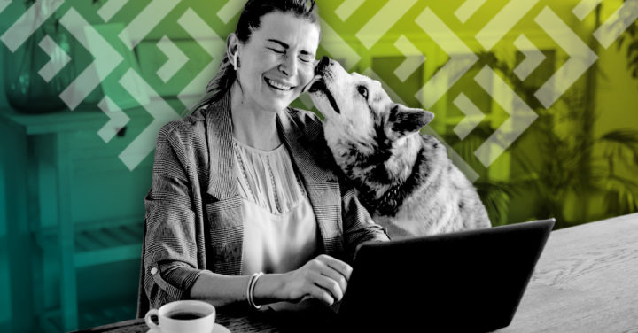 A woman working in a computer and her dog is licking her face.